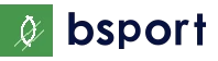 B体育 (bsports)中国官网-B SPORTS