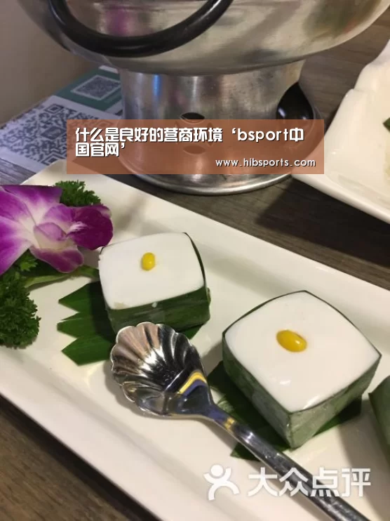 什么是良好的营商环境‘bsport中国官网’