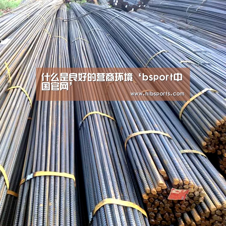 什么是良好的营商环境‘bsport中国官网’(图2) bsport中国官网
