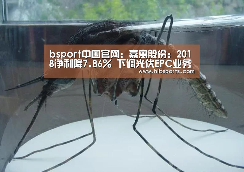 bsport中国官网