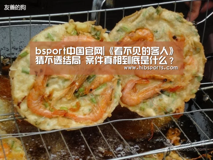 bsport中国官网|《看不见的客人》猜不透结局 案件真相到底是什么？(图1)