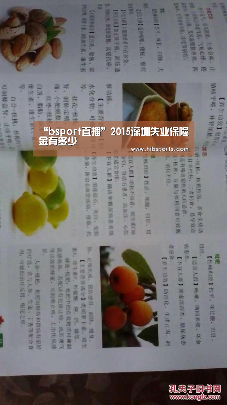 “bsport直播”2015深圳失业保险金有多少(图1) bsport中国官网