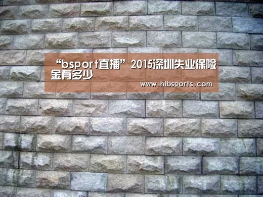 “bsport直播”2015深圳失业保险金有多少(图3) bsport官网