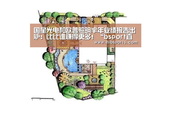 国星光电和欧普照明半年业绩报告出炉:比比谁赚得更多!“bsport直播”(图1) bsport官网
