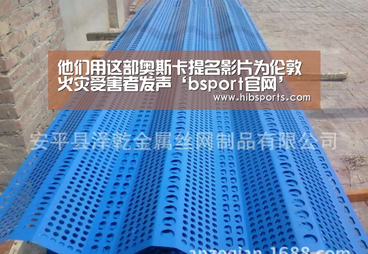 他们用这部奥斯卡提名影片为伦敦火灾受害者发声‘bsport官网’(图2)