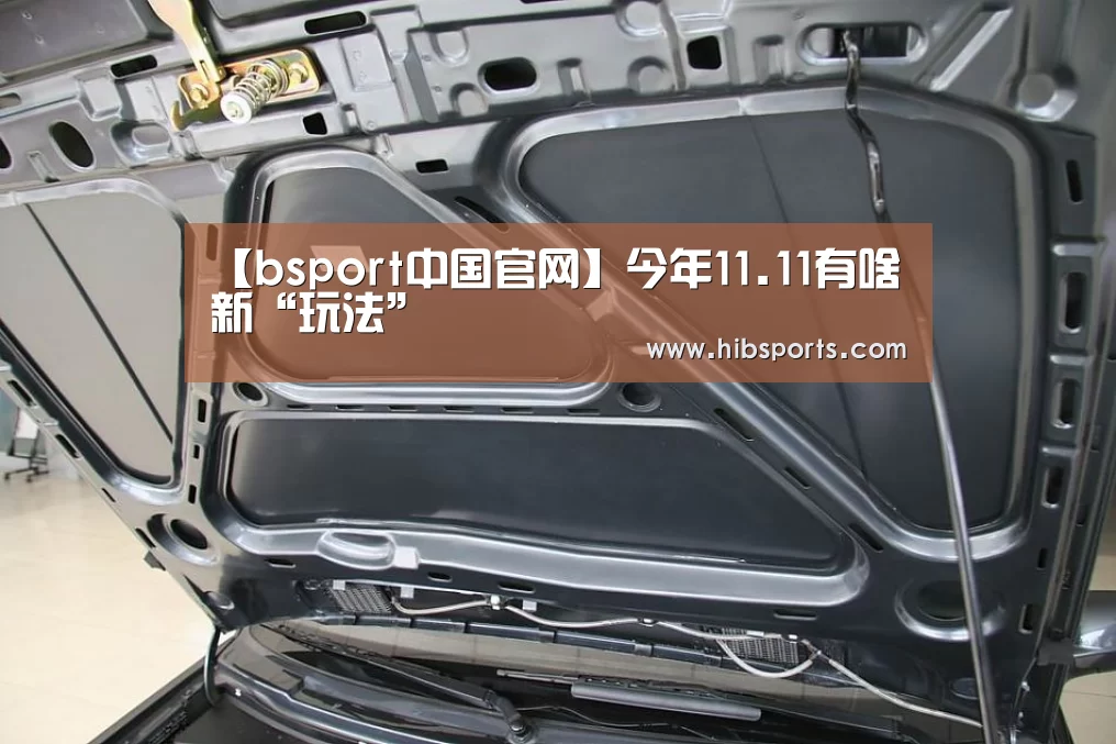 【bsport中国官网】今年11.11有啥新“玩法”(图2) bsport官网