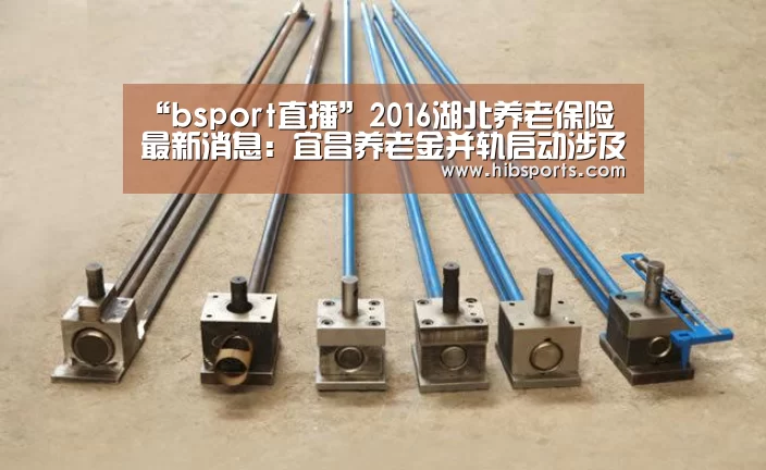 “bsport直播”2016湖北养老保险最新消息:宜昌养老金并轨启动涉及14万余人(图2) “bsport直播”2016湖北养老保险最新消息:宜昌养老金并轨启动涉及14万余人(图2)