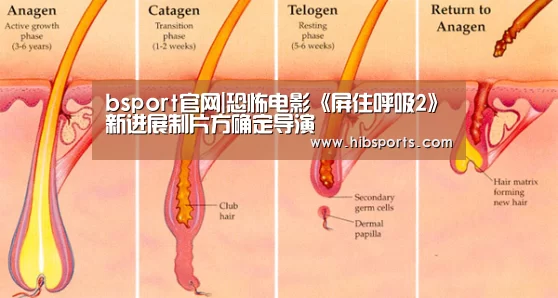 bsport中国官网