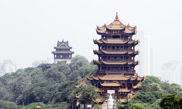 “bsport直播”不设防的“拼房”是小程序的下限吗(图2) bsport直播