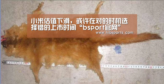 bsport直播