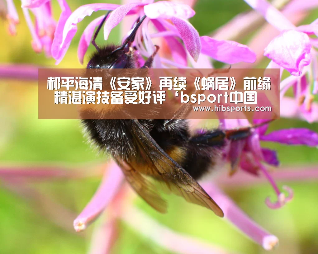 郝平海清《安家》再续《蜗居》前缘 精湛演技备受好评‘bsport中国官网’(图3) bsport官网