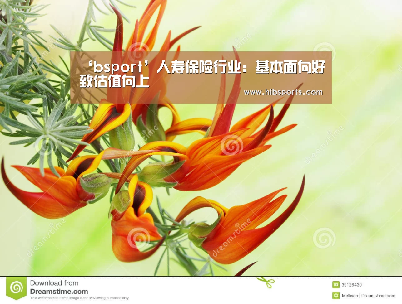 ‘bsport’人寿保险行业:基本面向好致估值向上(图1) bsport直播