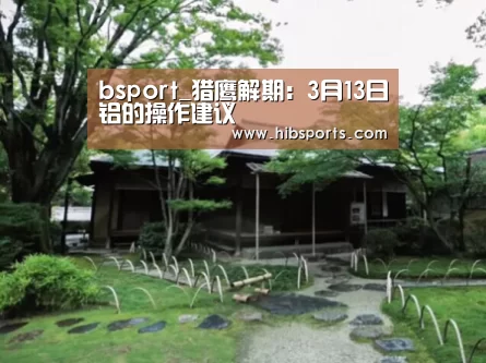 bsport_猎鹰解期：3月13日铝的操作建议(图1)