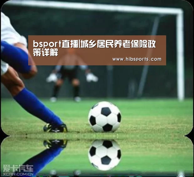 bsport直播|城乡居民养老保险政策详解(图1) bsport直播